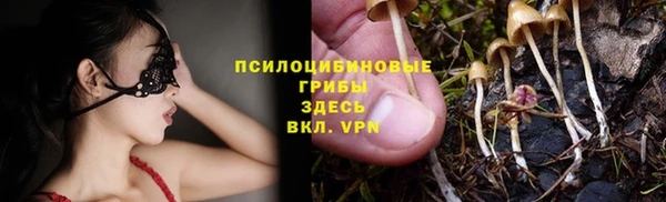 a pvp Алексин