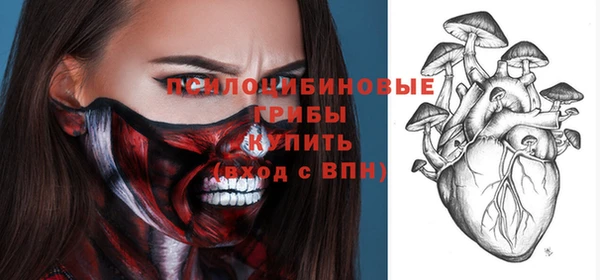 МДПВ Абдулино