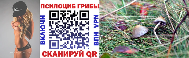 Галлюциногенные грибы мицелий darknet Telegram Ессентукская купить наркотик
